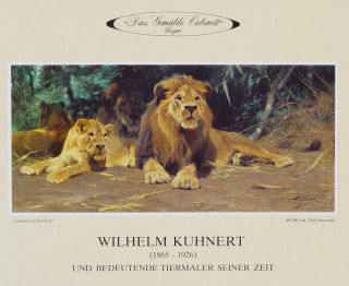 Wilhelm Kuhnert Afrika Safari Löwe Elefant Askari Giraffe Hegenbarth