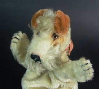 Steiff Handspielpuppe Foxy   Foxl