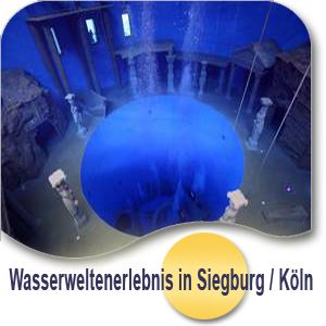 2U DZ inkl Fruehstueck Wasserwelten im 3 Hotel Oktopus in Siegburg bei