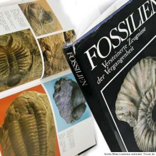 Bildband Versteinerungen Biologie Fossilien Erdzeitalter Artefakte