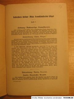 Schreibers kl. Atlas Fremdländische Vögel ~1910