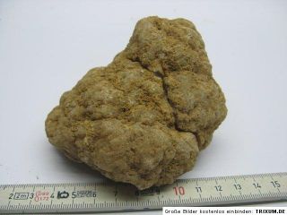 cm,Geode,Druse,Höhle,Mineral,Edelstein,Kristall, 0,45 kg / 415