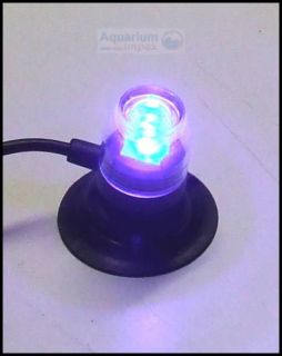 HYDOR H2shOw LED Spot Beleuchtung Lampe BLAU
