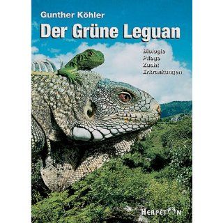 Der Grüne Leguan. Biologie Pflege Zucht Erkrankungen. 