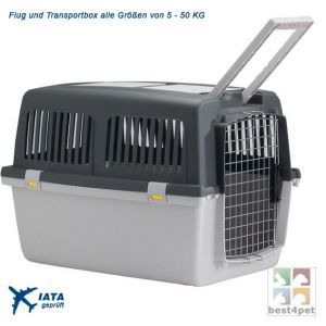 Flugbox Hundebox Transportbox Autobox Kennel *IATA zugelassen*