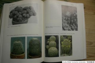 Kakteenlexikon 1979, 3000 Kakteen in Wort & Bild, Sorten