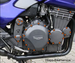 Triumph Tiger 900 / T400   Motorschrauben V2A Schrauben
