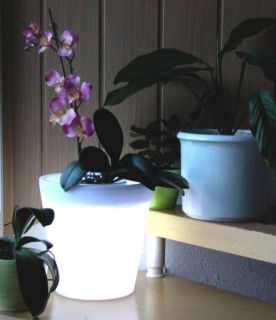 Solar LED Pflanzkübel Blumentopf Kunststoff weiß Ø28cm