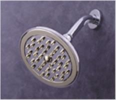 Alsons 699 2010 PK Specialty Shower Head, Brilliance Polished Brass