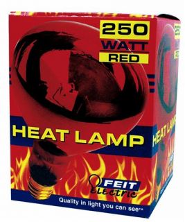 Feit Elictric 250R40/10 250 Watt Red Heat Lamps (12 Pack)