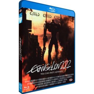 DVD DESSIN ANIME Blu Ray Evangelion you can (not) advance 2.22