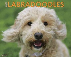 Labradoodles 2012 Calendar (Calendar)