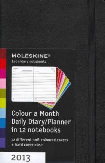 Colour a Month Daily Diary / Planner 2013 Calendar