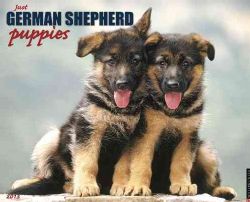 Just German Shepherd Puppies 2013 Calendar