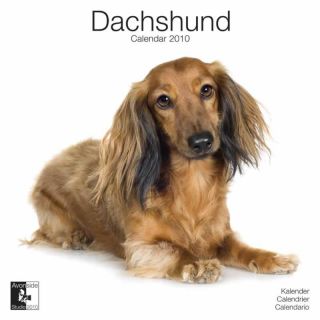 Dachshund 2010 Calendar