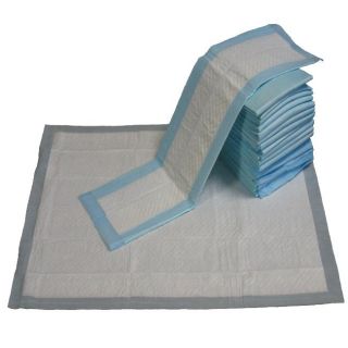 Go Pet Club 23x24 Puppy Dog Training Pads (Case of 100) Today $36.99
