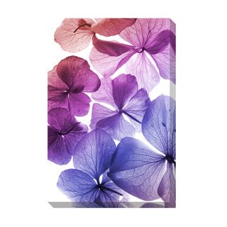 Colorful Flowers Oversized Gallery Wrapped Canvas