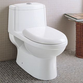 Ariel Platinum Anna Dual Flush toilet