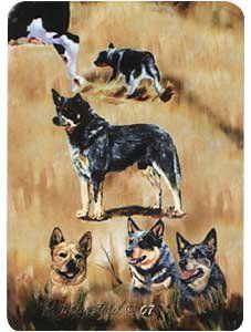 Australian Cattle Dog Playing Cards