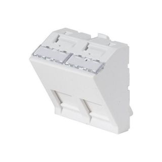 Plastron 45X45 2 RJ45 inclinées 30 °   PLASTRON 45 X 45 incliné 30