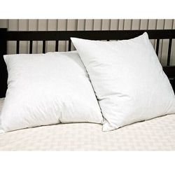European 26 inch Square 230 Thread Count Feather Pillows (Set of 2)