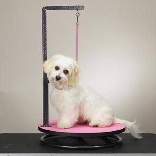 Master Equipment Small Pet Grooming Pink Table