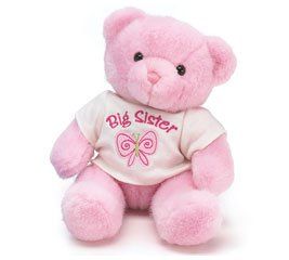 Big Sister Pink Teddy Bear Clothing