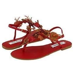 Steve Madden Clustter Red Multi Sandals