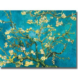 Vincent Van Gogh Mandorlo in Fiore Canvas Art