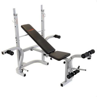 Lion Fitness Folding Weight Lifting Bench
