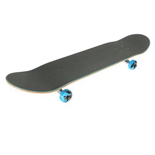 SKATEBOARD   LONGBOARD WORLD INDUSTRIES Skateboard Complet Wet Willy