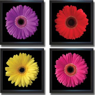 Jim Christensen Gerbera Daisy Flower Framed 4 piece Canvas Art Set