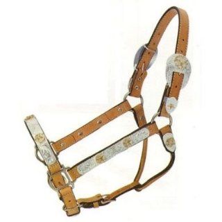 SIlver Royal Barbwire Trim Gold Star Show Halter Sports