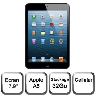 iPad mini Wi Fi + Cellular 32 Go noir & ardoise   Achat / Vente