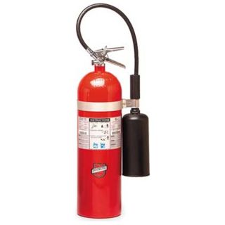 Buckeye 46100 Fire Extinguisher, Dry, BC, 10BC