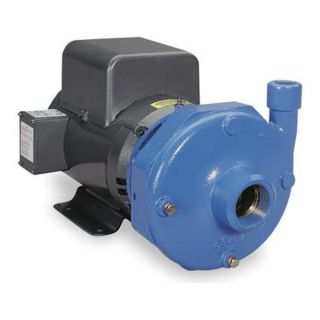 Goulds Water Technology 5BF1M5F0 Pump, Centrifugal, 15 HP