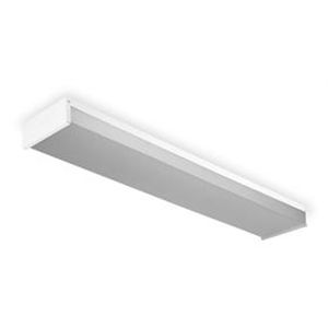 Lithonia BWX 2 32 MVOLT GEB10IS Fixture, Low Profile