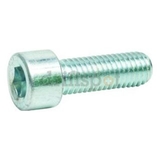 DrillSpot ZS2580050ZP0000 M8 1.25 x 50mm Grade 8.8 Zinc Plated Socket