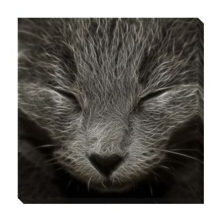 sleepy kitty oversized gallery wrapped canvas today $ 145 69