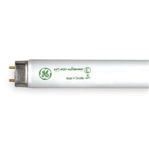GE Lighting F28T8/SP41/UMX/ECO Fluorescent Linear Lamp, T8, Cool, 4100K, Pack of 36