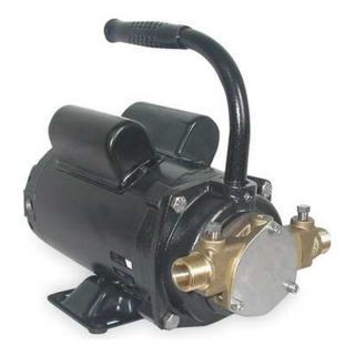 Dayton 3ABZ4 Pump, Bronze, 1/3 HP, 115/230V, 7.2/3.6 Amps