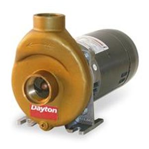 Dayton 1P996 Pump, Pool/Spa, 1/2 HP