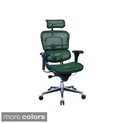 Eurotech Multifunction Mesh Chair with Headrest Today $690.99