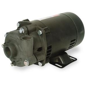 Dayton 4TE53 Centrifugal Pump, 1 HP, 1 Phase, 115/230V