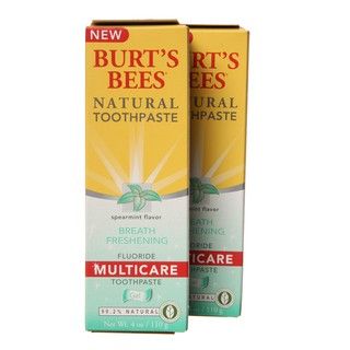 Burts Bees Natural 4 ounce Spearmint Gel Toothpaste (Pack of 6