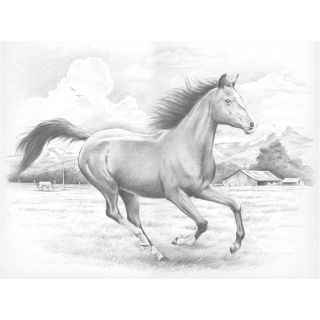 Sketching By Number Kit 11 1/2X15 1/2 Galloping Horse Today $12.29