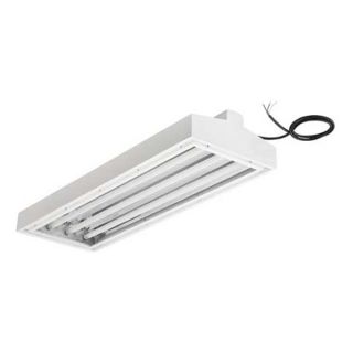 Lithonia FHH24 632 ND 2/3 WWGR Fixture, Fluorescent, F32T8, 6 Lamp, 32W