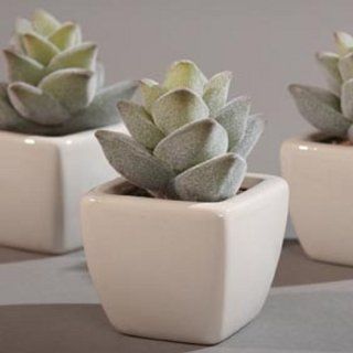 Künstlicher Kaktus in Keramiktopf, Kunstpflanze Topfpflanze