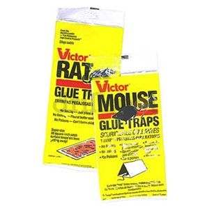 Victor M180C Mouse Glue Trap, PK 2